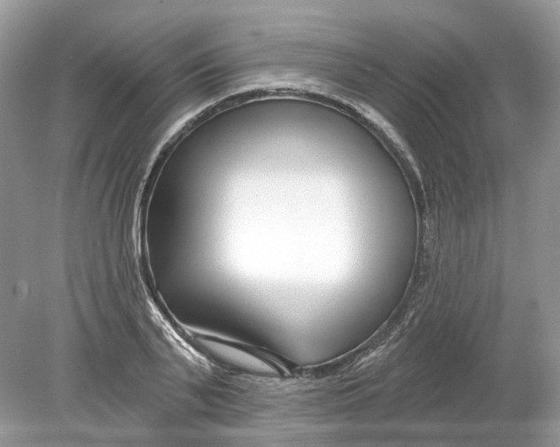 X0000078890791200612042049