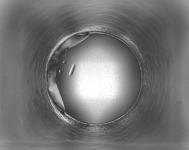 X0000078890792200612042049