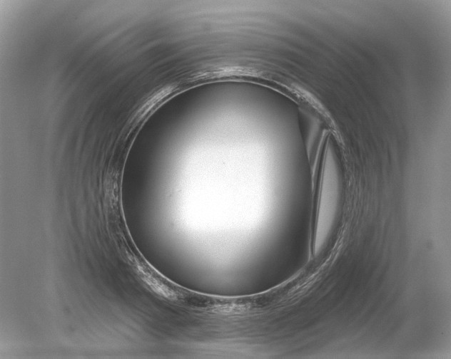 X0000078890793200612042049