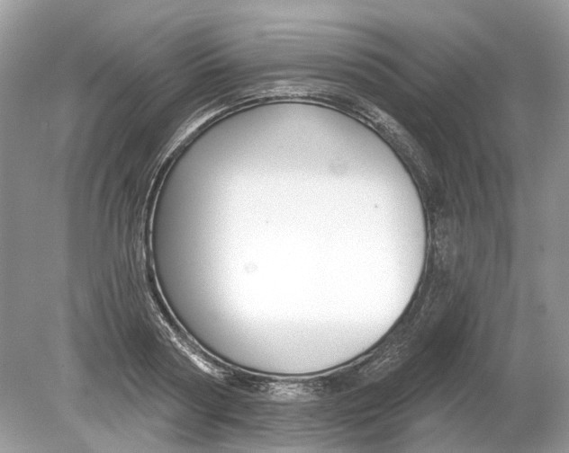 X0000078890794200612042049