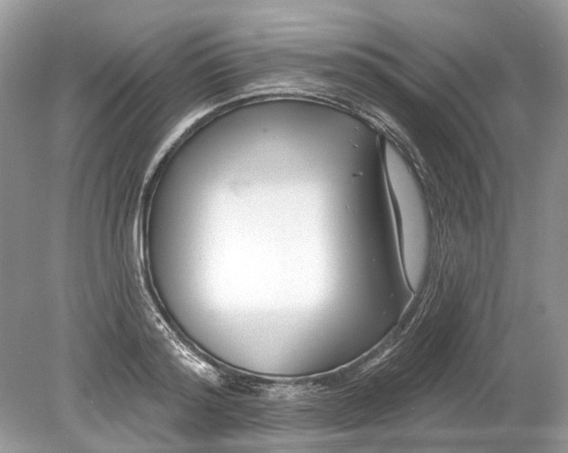 X0000078890796200612042049