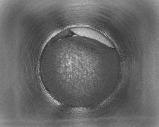 X0000078890797200612042049