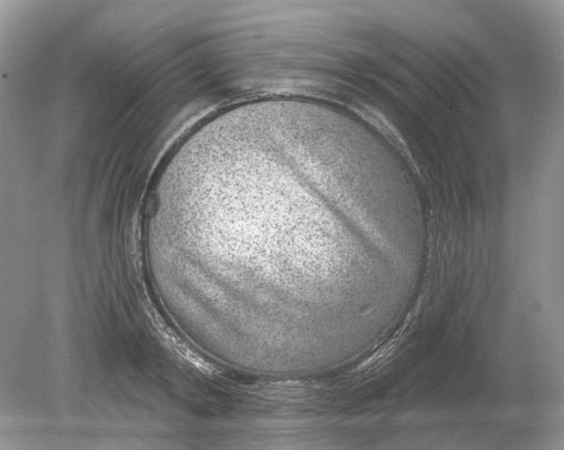 X0000078890798200612042049