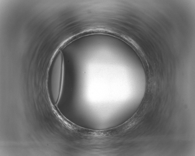 X0000078890799200612042049