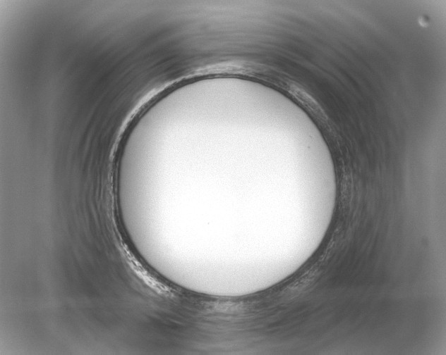 X0000078890800200612042049