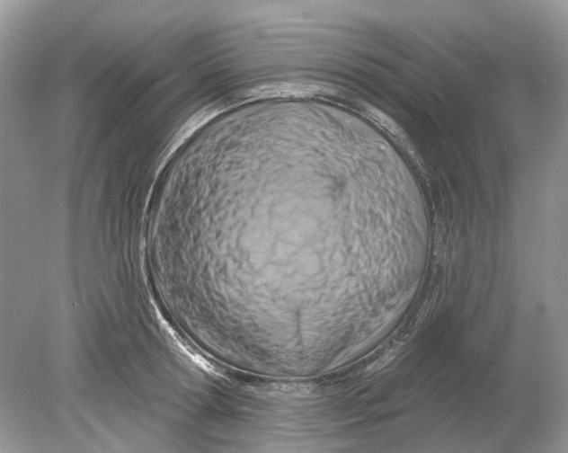 X0000078890802200612042049