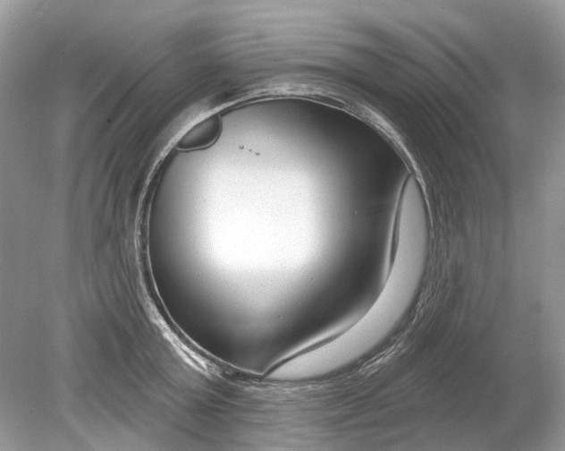 X0000078890803200612042049