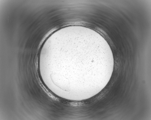 X0000078890804200612042049