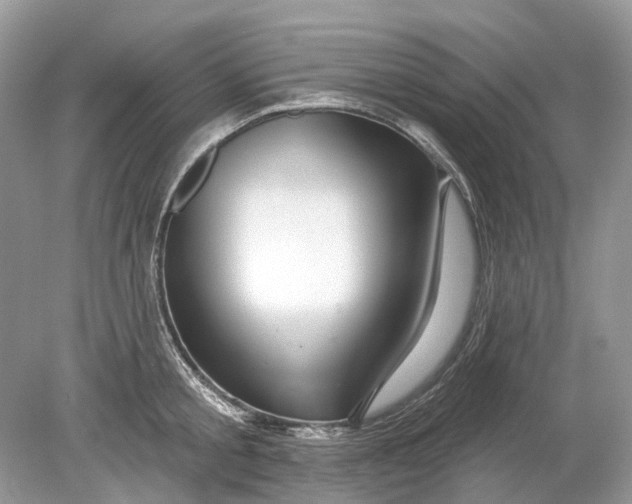 X0000078890805200612042048