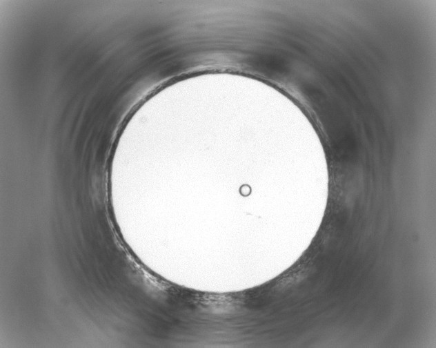 X0000078890807200612042048