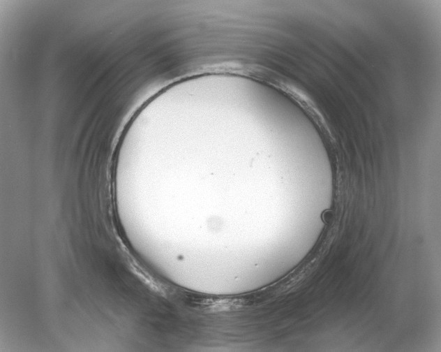 X0000078890808200612042048