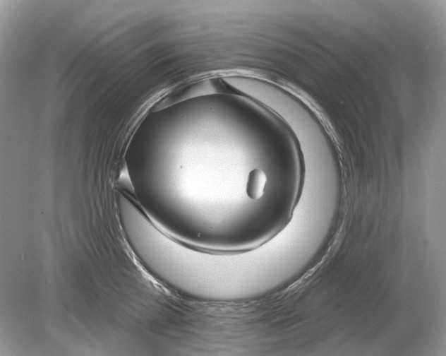 X0000078890809200612042048