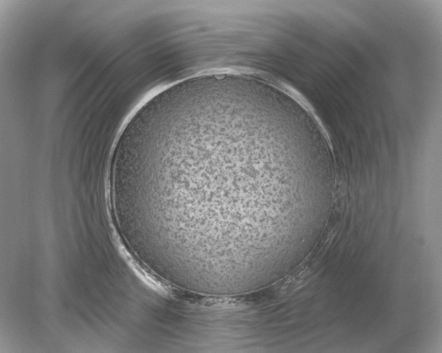 X0000078890811200612042048