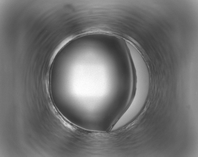 X0000078890812200612042048