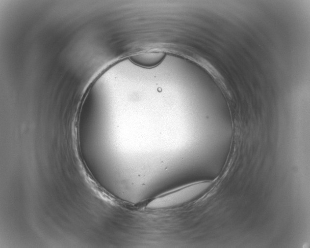 X0000078890814200612042048