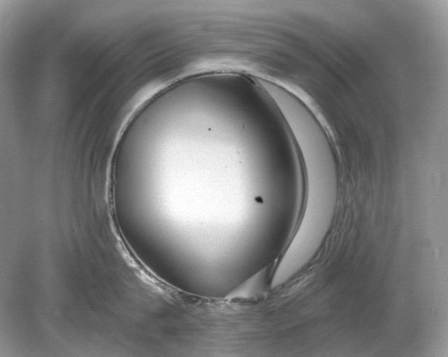 X0000078890815200612042048