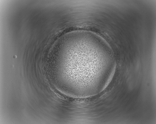 X0000078890817200612042048