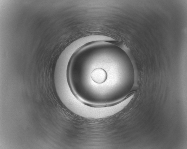 X0000078890818200612042048