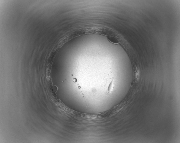 X0000078890819200612042048