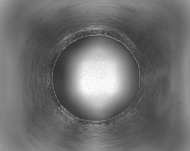 X0000078890821200612042048