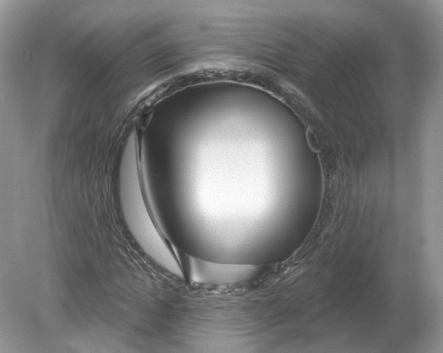 X0000078890822200612042048