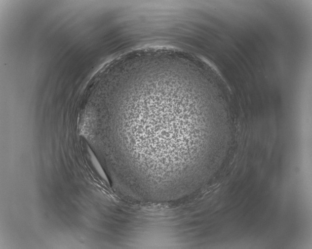 X0000078890823200612042048