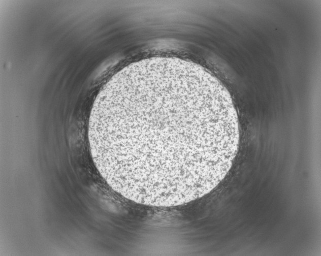 X0000078890824200612042048