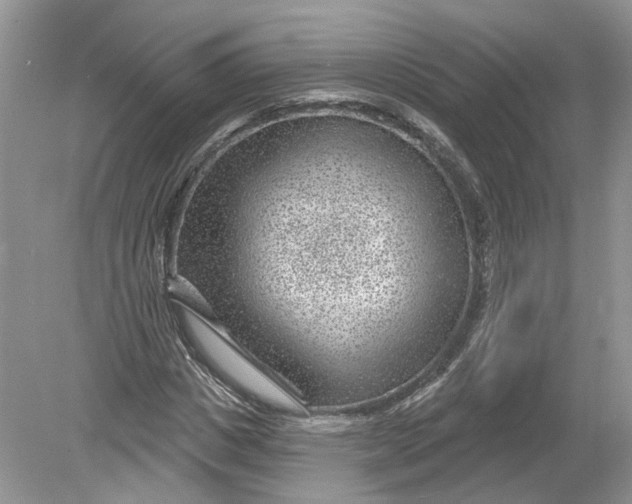 X0000078890825200612042048