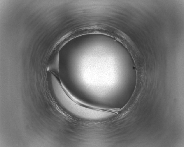 X0000078890826200612042048