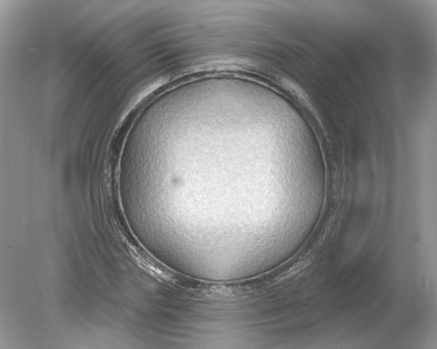 X0000078890827200612042048