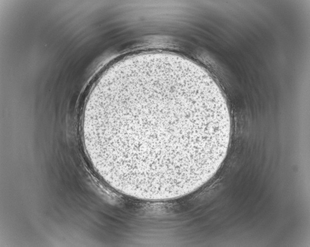 X0000078890828200612042048