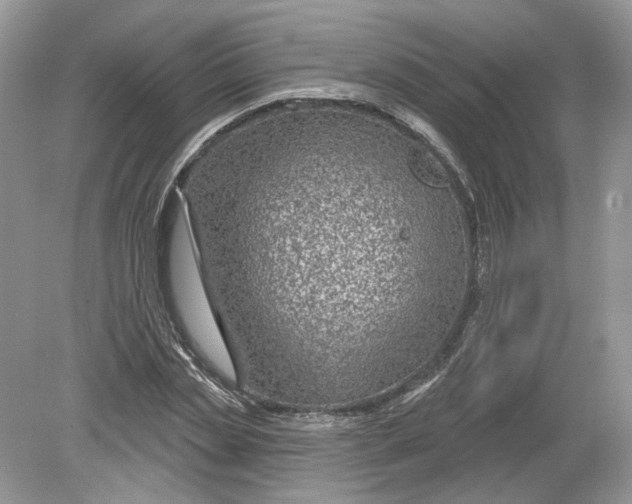 X0000078890829200612042048