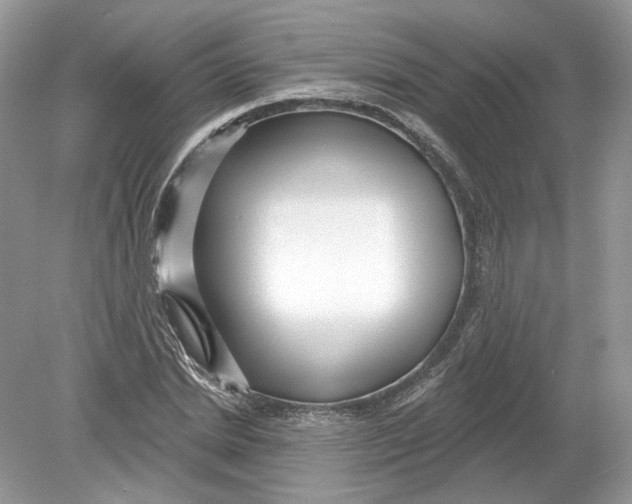 X0000078890830200612042048