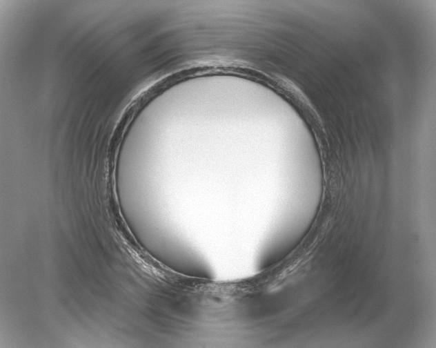 X0000078890831200612042048