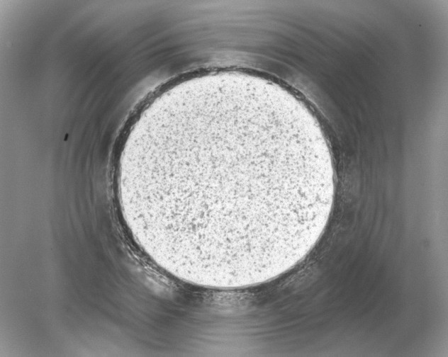 X0000078890832200612042048