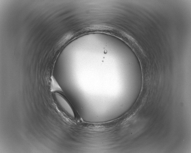 X0000078890833200612042048