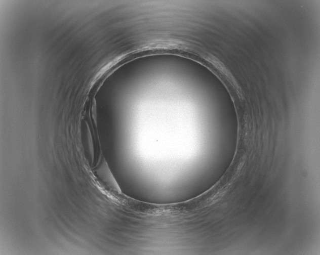 X0000078890834200612042048