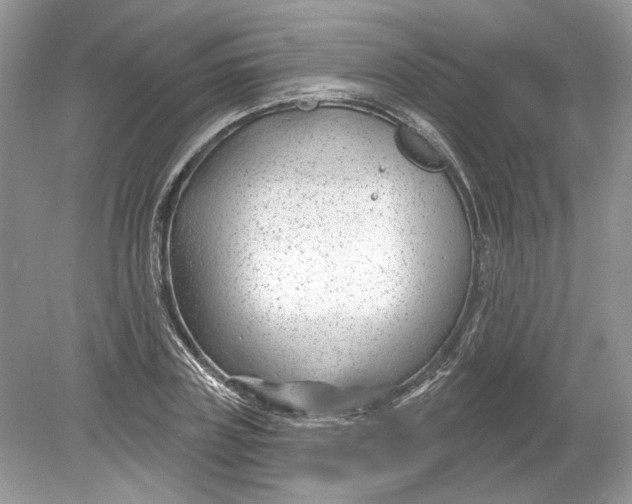 X0000078890835200612042048