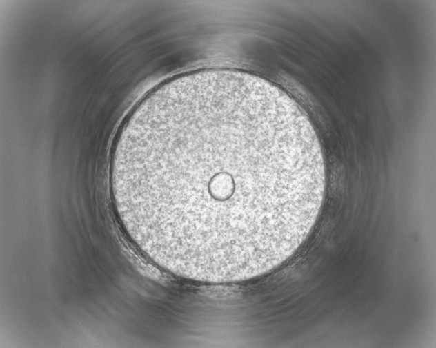 X0000078890836200612042048