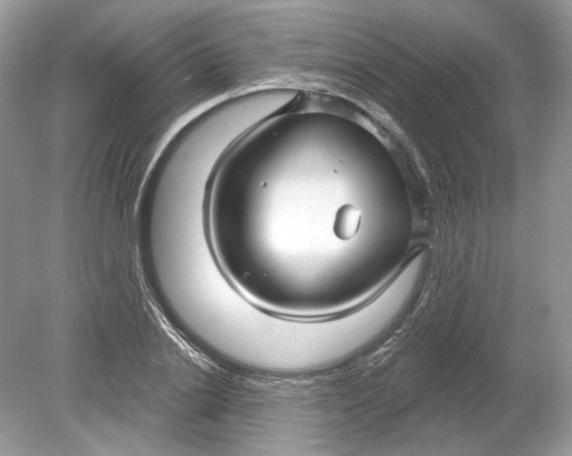 X0000078890838200612042048