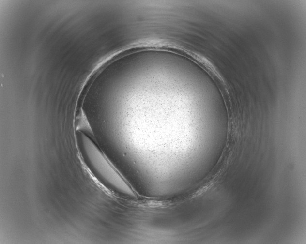 X0000078890839200612042048