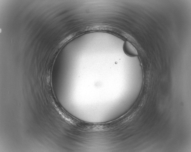 X0000078890841200612042048