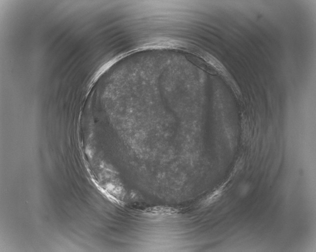 X0000078890842200612042048