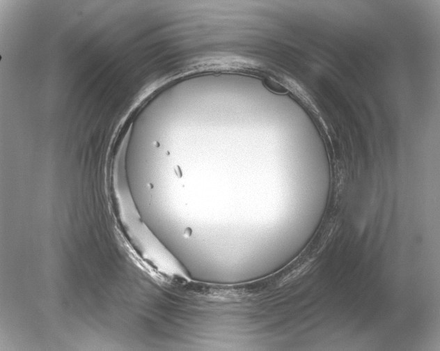 X0000078890843200612042048