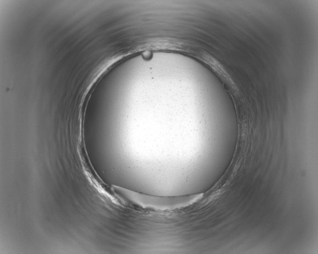 X0000078890844200612042048