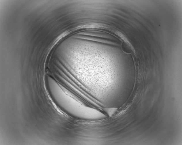 X0000078890845200612042048