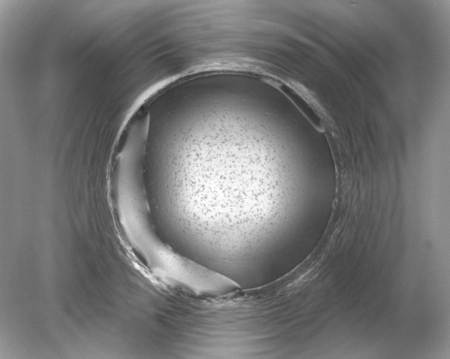 X0000078890846200612042048