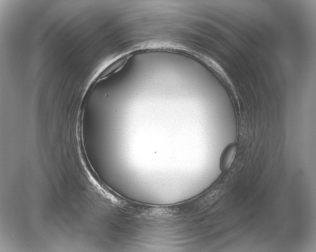 X0000078890847200612042048