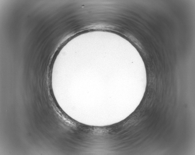 X0000078890848200612042048