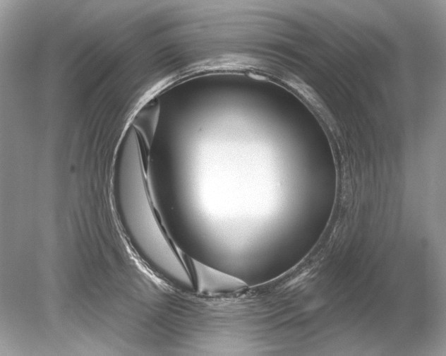 X0000078890850200612042048